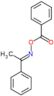 (1E)-1-phenylethanone O-(phenylcarbonyl)oxime