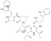 N-acetyl-(D-trp16)-endothelin 1*fragment 16-21