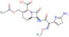 (6R,7R)-3-[(Acetyloxy)methyl]-7-[[(2E)-2-(2-amino-4-thiazolyl)-2-(methoxyimino)acetyl]amino]-8-oxo…