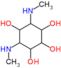 4,6-bis(methylamino)cyclohexane-1,2,3,5-tetrol