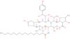 N-{(2S,3S,3aR,6R,7R,12S,16R,17aS,20S,23S)-20-[(1S,2S)-1,2-dihydroxy-3-(4-hydroxyphenyl)propyl]-3,6…