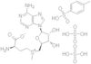 Adenosine, 5′-[[(3S)-3-amino-3-carboxypropyl]methylsulfonio]-5′-deoxy-, sulfate, 4-methylbenzenesu…