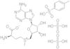 S-Adenosyl-5-L-Methionine Tosylate