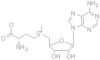 S-Adenosyl-L-Methionine Disulfate Tosylate
