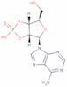 Adenosine-2',3'-cyclic phosphate, Dicyclohexylguanidinium Salt