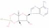 Adenosine cyclic 3′,5′-[hydrogen [P(R)]-phosphorothioate]