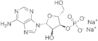 adenosine 3-monophosphate sodium*from yeast