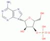 adenosine 3'-phosphate monohydrate