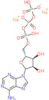 Adenosine-5'-triphosphate disodium salt hydrate