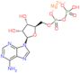 Adenosina 5′-(triidrogeno difosfato), sale di magnesio (1:?)