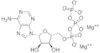 adenosine 5'-triphosphate magnesium*from equine M