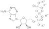 Adenosine-5'-triphosphate,Dipotassium salt