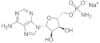 adenosine 5'-monophosphoramidate sodium