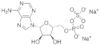 adenosine 5'-phosphosulfate sodium