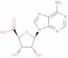 adenosine-5'-carboxylic acid