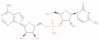 Cytidylyl-(3′→5′)-adenosine