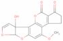 Aflatoxin M1