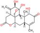 Ailanthone