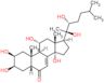 Ajugasterone C