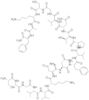 ALPHA-CGRP (19-37) (HUMAN)