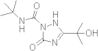 N-tert-Butyl-3-(2-hydroxypropan-2-yl)-5-oxo-2,5-dihydro-1H-1,2,4-triazole-1-carboxamide