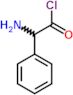 amino(phenyl)acetyl chloride