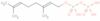 geranyl pyrophosphate ammonium*200 ug/vial