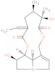 (+)-Anacrotine