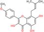 3,5,7-Trihydroxy-2-(4-methoxyphenyl)-8-(3-methylbut-2-en-1-yl)-4H-chromen-4-one