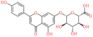 5-hydroxy-2-(4-hydroxyphenyl)-4-oxo-4H-chromen-7-yl beta-D-glucopyranosiduronic acid
