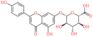 Apigenin 7-O-glucuronide