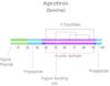 Pancreatic trypsin inhibitor