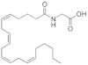 N-Arachidonoyl glycine