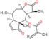 Arnicolide D