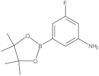 3-Fluoro-5-(4,4,5,5-tetramethyl-1,3,2-dioxaborolan-2-yl)benzenamine