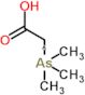 (carboxymethyl)(trimethyl)-lambda~5~-arsanyl