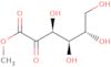 Methyl L-xylo-2-hexulosonate