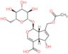 (1S,4aS,5S,7aS)-7-[(acetyloxy)methyl]-1-(beta-D-glucopyranosyloxy)-5-hydroxy-1,4a,5,7a-tetrahydrocyclopenta[c]pyran-4-carboxylic acid