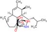 (3S,3aR,4S,6aS,11R,12S,15aS)-11,12-dihydroxy-4,5,8-trimethyl-3-(2-methylpropyl)-3,3a,4,6a,9,10,11,…