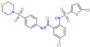 5-chloro-2-{[(5-chlorothiophen-2-yl)sulfonyl]amino}-N-[4-(morpholin-4-ylsulfonyl)phenyl]benzamide