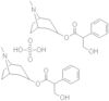 Atropine sulfate