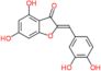 (2Z)-2-[(3,4-dihydroxyphenyl)methylidene]-4,6-dihydroxy-1-benzofuran-3(2H)-one
