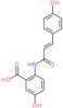 5-hydroxy-2-{[(2E)-3-(4-hydroxyphenyl)prop-2-enoyl]amino}benzoic acid