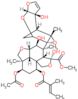 methyl (2aS,3S,4S,4aR,5S,8S,10R,10aR,10bS)-10-(acetyloxy)-3,5-dihydroxy-4-[(1aR,3aS,6aS,7R,7aS)-6a-hydroxy-7a-methyl-3a,6a,7,7a-tetrahydro-2,7-methanofuro[2,3-b]oxireno[e]oxepin-1a(2H)-yl]-4,10a-dimethyl-8-{[(2E)-2-methylbut-2-enoyl]oxy}decahydro-1H-napht