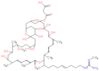 3-({3,7,9,23,25,27,31,33,34,35-decahydroxy-10,14,18,22,26,30-hexamethyl-15-[(5E)-1-methyl-9-(methy…