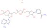 [5-(6-aminopurin-9-yl)-3-hydroxy-4-phosphonooxy-tetrahydrofuran-2-yl]methyl [[5-(3-carbamoylpyridin-1-ium-1-yl)-3,4-dihydroxy-tetrahydrofuran-2-yl]methoxy-hydroxy-phosphoryl] hydrogen phosphate; sodium