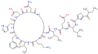 N-{[2-(2-methylbutanoyl)-1,3-thiazol-4-yl]carbonyl}leucyl-alpha-glutamyl-N-[3-(2-amino-2-oxoethyl)-18-(3-aminopropyl)-12-benzyl-6-(carboxymethyl)-9-(1H-imidazol-5-ylmethyl)-15-(1-methylpropyl)-2,5,8,11,14,17,20-heptaoxo-1,4,7,10,13,16,19-heptaazacyclopent