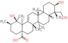 (3alpha)-3,19,24-trihydroxyurs-12-en-28-oic acid