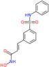 N-Hydroxy-3-(3-phenylsulfamoylphenyl)acrylamide