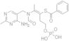 S-benzoylthiamine O-monophosphate